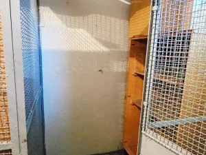 Prodej bytu 1+1, Kadaň, Koželužská, 38 m2