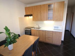 Pronájem bytu 2+1, Brno, Plovdivská, 56 m2