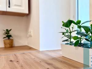 Prodej bytu 1+kk, Kroměříž, Švabinského nábřeží, 28 m2