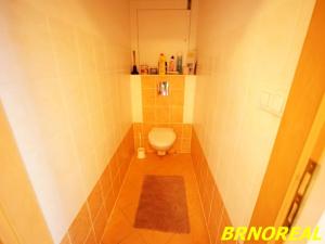 Prodej bytu 2+kk, Brno, Leskauerova, 60 m2