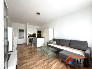 Pronájem bytu 1+kk, Karviná, tř. 17. listopadu, 31 m2