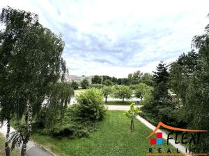 Pronájem bytu 1+kk, Karviná, tř. 17. listopadu, 31 m2