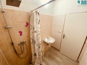 Pronájem bytu 2+kk, Počátky, 45 m2