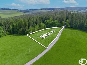 Prodej pozemku pro bydlení, Frymburk, 5934 m2