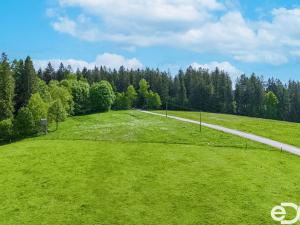 Prodej pozemku pro bydlení, Frymburk, 5934 m2