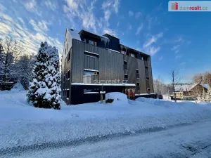 Prodej bytu 1+kk, Harrachov - Nový Svět, 31 m2