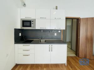 Pronájem bytu 1+kk, Plzeň - Východní Předměstí, Jablonského, 28 m2