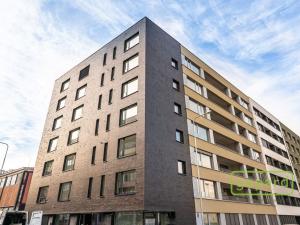 Pronájem bytu 2+kk, Praha, U Pergamenky, 55 m2