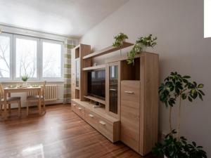 Pronájem bytu 1+kk, Brno, Mutěnická, 31 m2