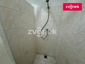 Pronájem bytu 1+kk, Zlín, Růmy, 40 m2