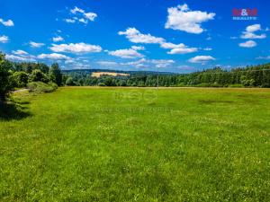 Prodej louky, Nové Mitrovice, 5551 m2
