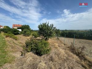 Prodej pozemku pro bydlení, Bechlín, 1185 m2