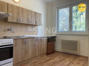 Pronájem bytu 3+1, Jakartovice, 78 m2
