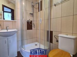 Pronájem bytu 1+kk, České Budějovice - České Budějovice 3, 59 m2