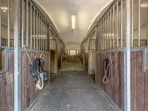Prodej zemědělské usedlosti, Bošilec, 610 m2