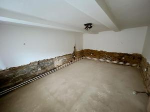 Prodej rodinného domu, Bělá pod Pradědem - Adolfovice, 270 m2