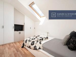 Pronájem bytu 1+kk, Brno, Anenská, 16 m2