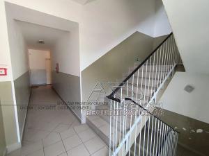 Pronájem bytu 1+kk, České Budějovice, Riegrova, 25 m2