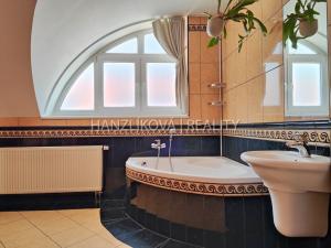 Pronájem bytu 3+1, České Budějovice, Riegrova, 112 m2