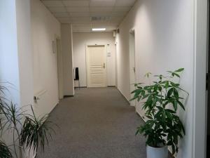 Pronájem obchodního prostoru, Plzeň, náměstí Republiky, 16 m2