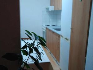 Pronájem bytu 1+kk, Milovice - Mladá, Braniborská, 29 m2