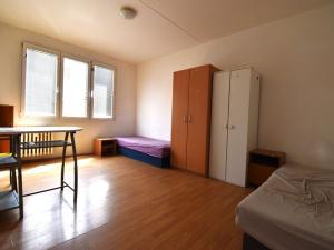 Pronájem bytu 1+kk, Plzeň, Strážnická, 19 m2