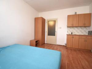 Pronájem bytu 1+kk, Plzeň, Strážnická, 19 m2