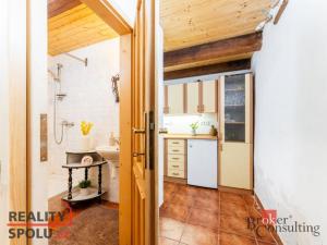 Prodej chalupy, Těchonín, 169 m2