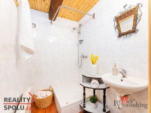 Prodej chalupy, Těchonín, 169 m2