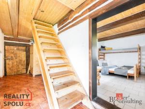 Prodej chalupy, Těchonín, 169 m2