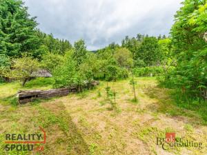 Prodej chalupy, Těchonín, 169 m2