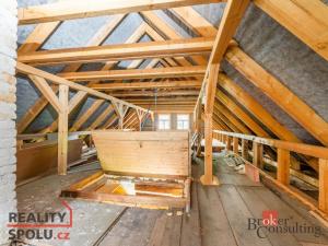 Prodej chalupy, Těchonín, 169 m2