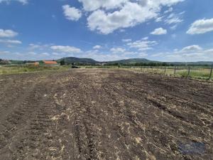 Prodej pozemku pro bydlení, Dolní Dunajovice, Pálavská, 1250 m2