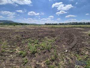 Prodej pozemku pro bydlení, Dolní Dunajovice, Pálavská, 1250 m2