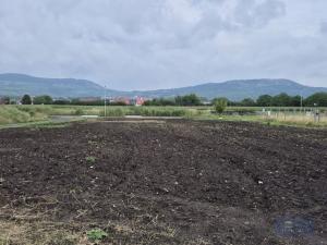 Prodej pozemku pro bydlení, Dolní Dunajovice, Pálavská, 1250 m2