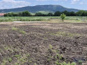 Prodej pozemku pro bydlení, Dolní Dunajovice, Pálavská, 631 m2