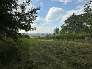 Prodej zahrady, Strážnice, 3628 m2