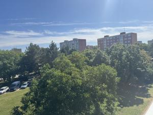 Prodej bytu 2+1, Nymburk, Dědinova, 54 m2