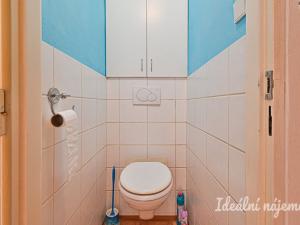 Pronájem bytu 2+1, Brno, Družstevní, 52 m2