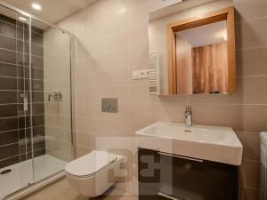 Pronájem bytu 1+kk, Praha - Vysočany, Střídavá, 36 m2
