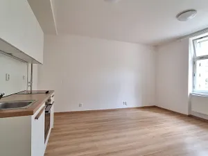 Pronájem bytu 1+kk, Praha - Bubeneč, U zeměpisného ústavu, 26 m2