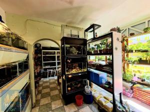 Pronájem obchodního prostoru, Praha - Žižkov, Roháčova, 49 m2