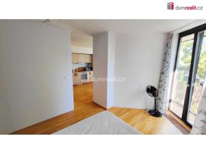 Pronájem bytu 2+kk, Praha - Žižkov, Pitterova, 55 m2