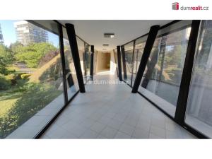 Pronájem bytu 2+kk, Praha - Žižkov, Pitterova, 55 m2