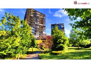 Pronájem bytu 2+kk, Praha - Žižkov, Pitterova, 55 m2