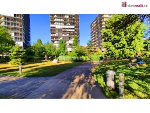 Pronájem bytu 2+kk, Praha - Žižkov, Pitterova, 55 m2