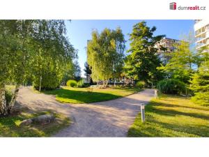 Pronájem bytu 2+kk, Praha - Žižkov, Pitterova, 55 m2