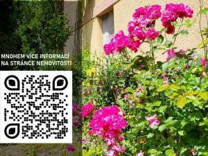 Prodej rodinného domu, Slavíkovice, 660 m2