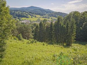 Prodej pole, Lipová-lázně, 12392 m2