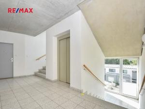 Pronájem bytu 1+kk, Plzeň, Štefánikova, 36 m2